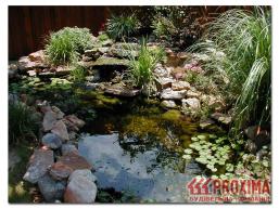 Разведение раков как бизнес (интенсивный метод), вложения ...