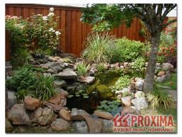 Редкие виды растений и животных Краснодарского края и ...