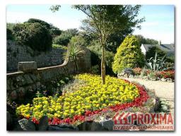 Ландшафтный дизайн садовых цветочных клумб. Цветочная клумба фото