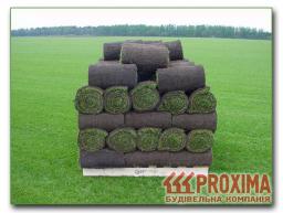Рулонный газон — наиболее современный способ создания качественного газона, сокращающий сроки по возведению газона