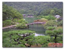 Японский ботанический сад.  Основу этого сада составляют многолетние зелёные круглый год растения