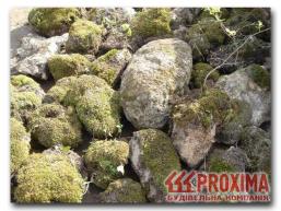 Камень для альпинария, рокария. На поверхности известнякового камня – Туфа (травертина) приживаются почти все виды мха.